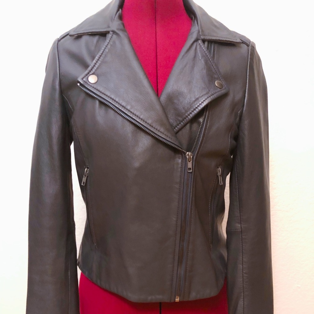 NWT Anthropologie Navy/silver biker leather jacket
